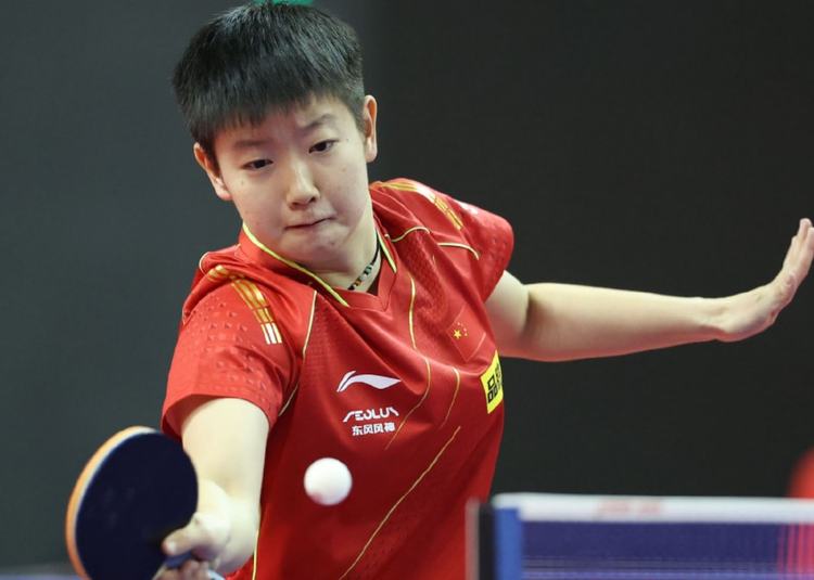 会第五届会 会第五届会